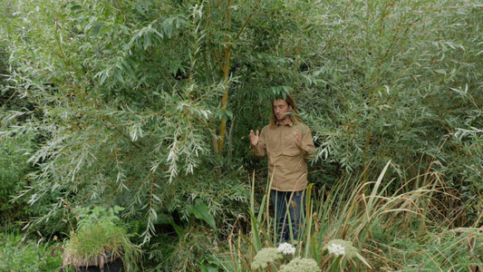 Q&A with Hometree Founder Matt Smith