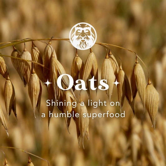 Oats – Shining a Light on a Humble Superfood