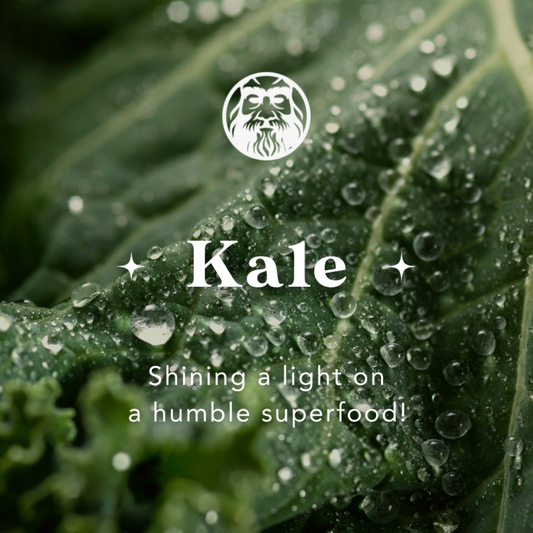 Kale – Shining a Light on a Humble Superfood
